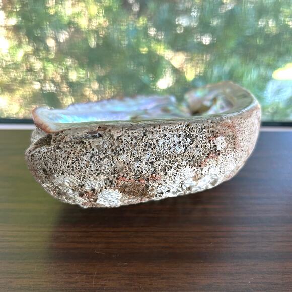 Vintage Abalone Shell – 7” Iridescent Mother of Pearl Display or Smudge Bowl - Picture 3 of 7